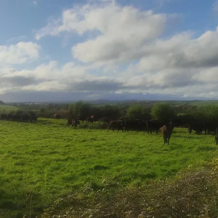 Pete's Pad アパート *