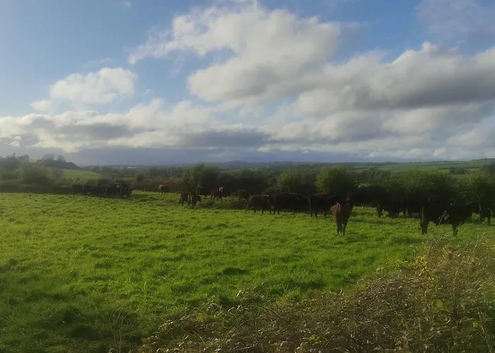 Pete's Pad Apartmán *